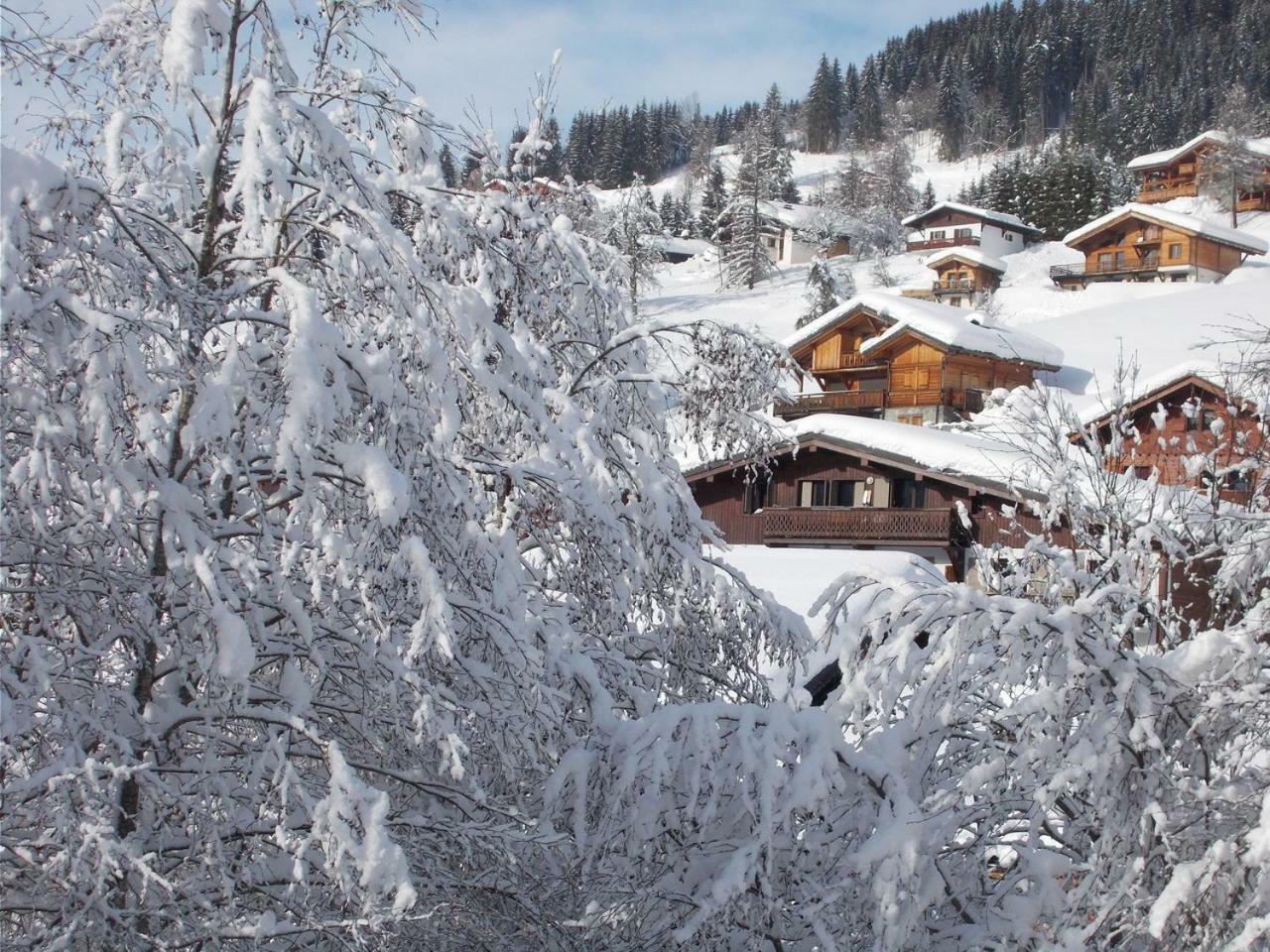 Chalet Jonquille Les Gets Eksteriør billede